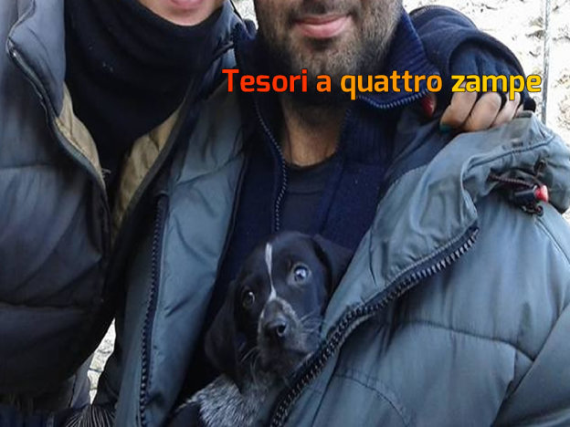 cane_bianocnero_velino_adottato_daniele_e_tatiana