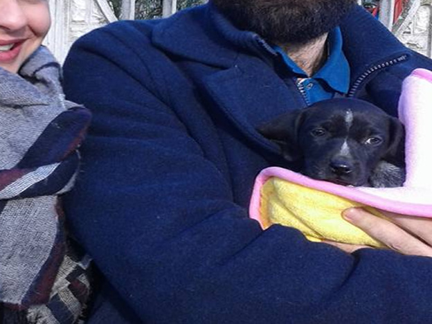 cane_cagnolina_velino_adottata_ragazzi_ascoli_piceno2