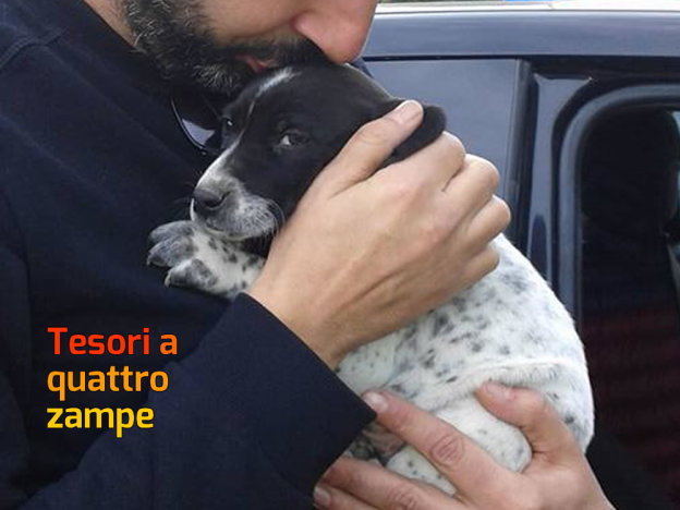 cane_teo_velino_adottato_da_Ascoli_piceno