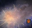 fuochi_dartificio_cane4