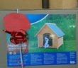 cane_cuccia_regalo_canile_sanitario_adf2