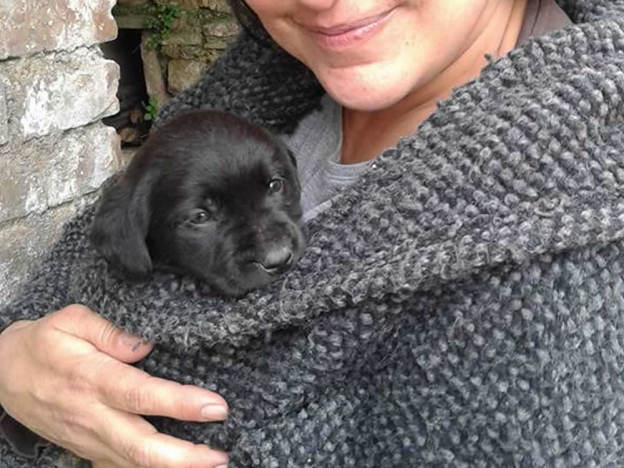 cane_maremmano_cucciolo_nero_adottato_letizia