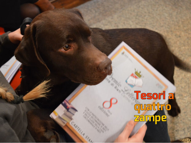 cane_virginia_tomaselli