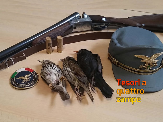 cfs_corpo_forestale_dello_stato_sequestro_fucile_selvaggina_merlo_tordo
