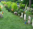 cimitero_degli_animali2_