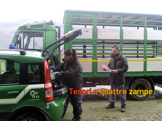 forestale_controllo_automezzi_1