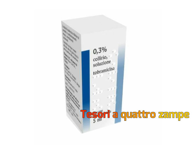 gatto_gatti_medicinale_tobral