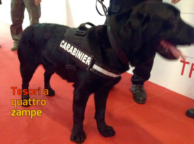 cane_carabiniere_sanremo_max