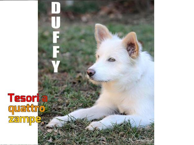 cane_duffy_laura_berardi_2