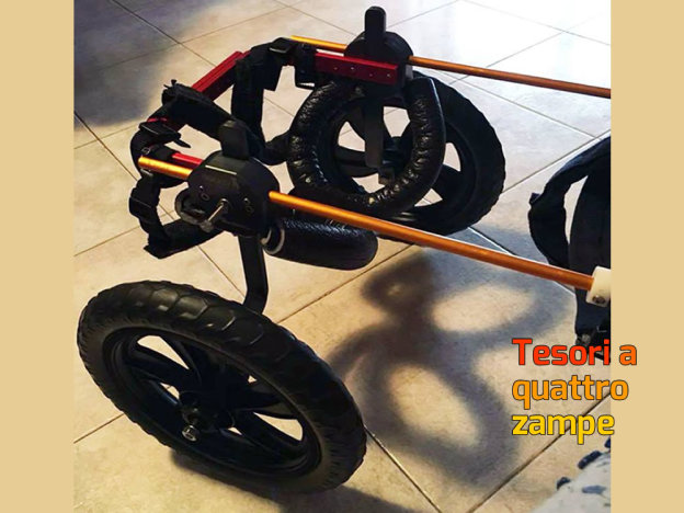 carrellino_cane_disabile