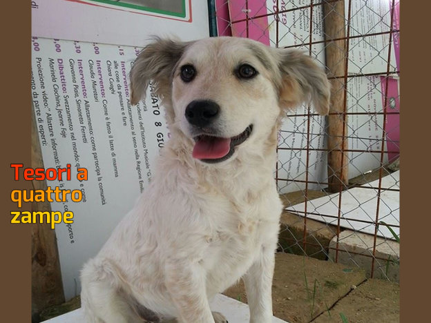 cane_cannella_poggio_catino_p&f