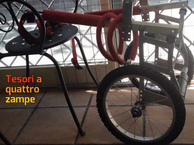 cane_carrellino_alessia_marangi