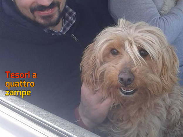 cane_sanitario_adf_adottato