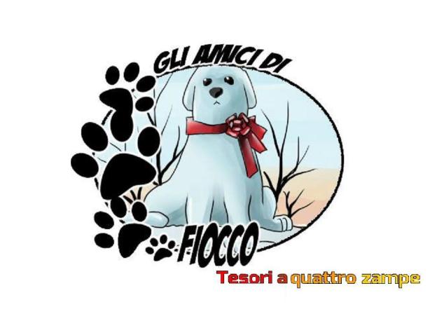logo_amici_di_fiocco2-1000×750