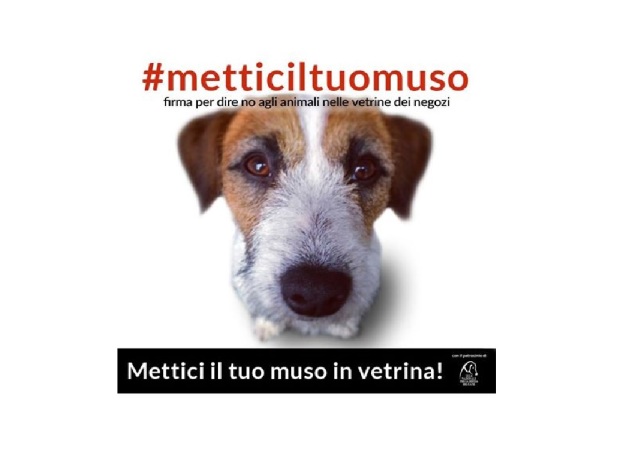 petizione_tessa_gelisio_e_lega_del_cane