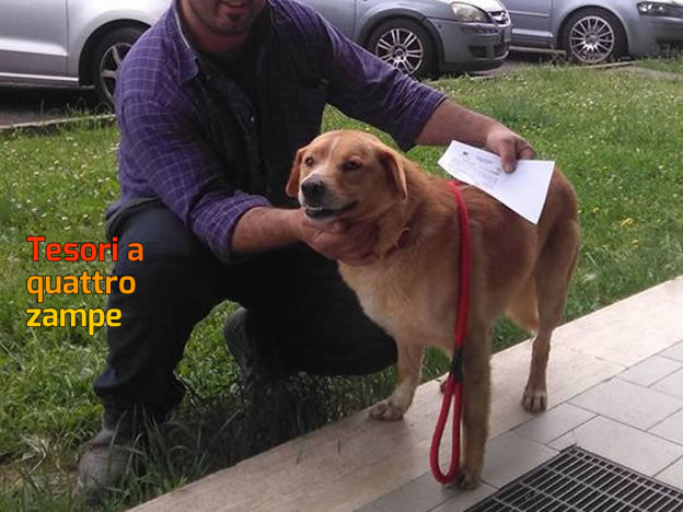cane_adottato_birillo_adf