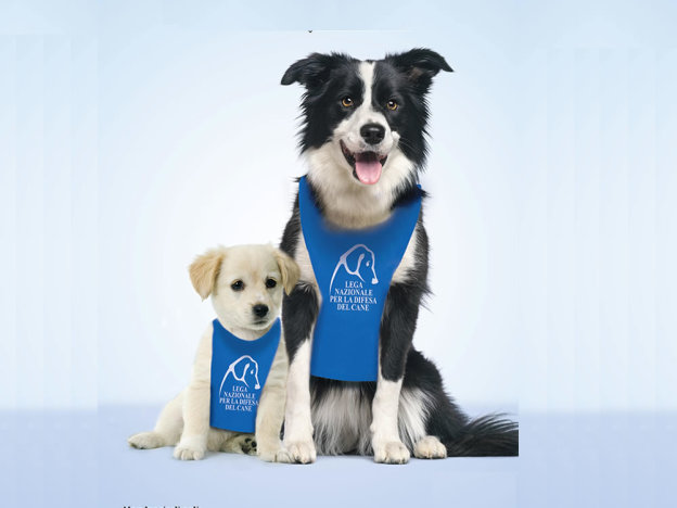 lega_nazionale_per_la_difesa_del_cane_5x1000_2016