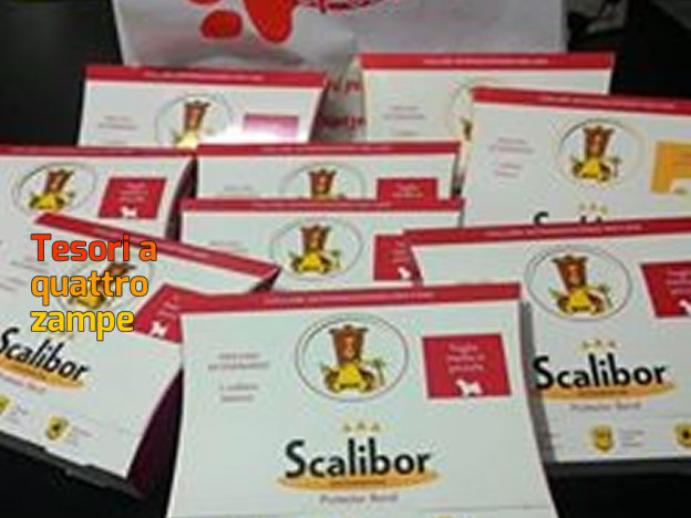 radiomondo_fiocco_colomba_pascalizi_2