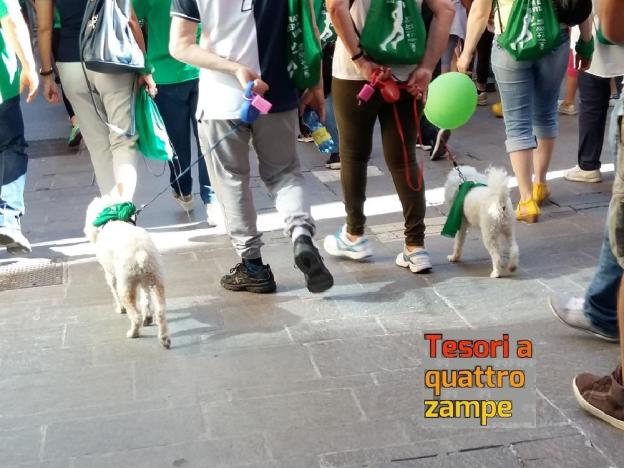 cane_camminata_per_la_vita_rieti