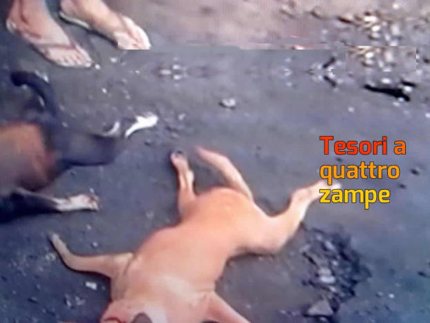 foto_yulin_2