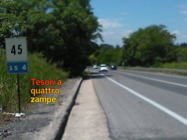salaria_ss_4_chilometro_45_gemma_caroni