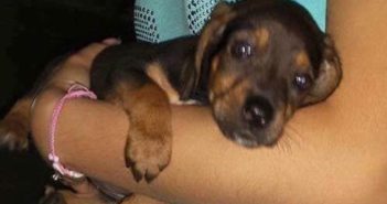 Il mio grido per Lilly