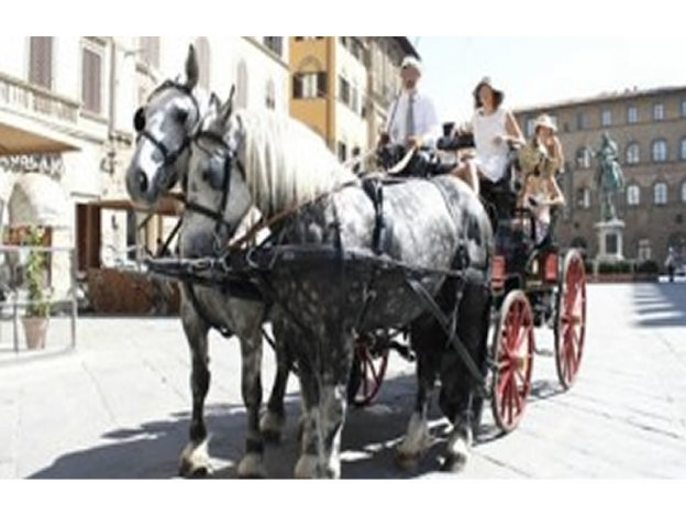 lega_nazionale_difesa_animali_no_alle_botticelle_firenze