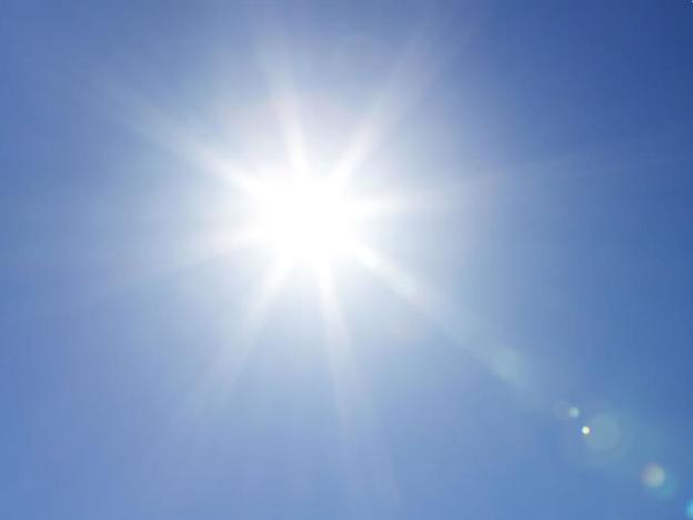 sole