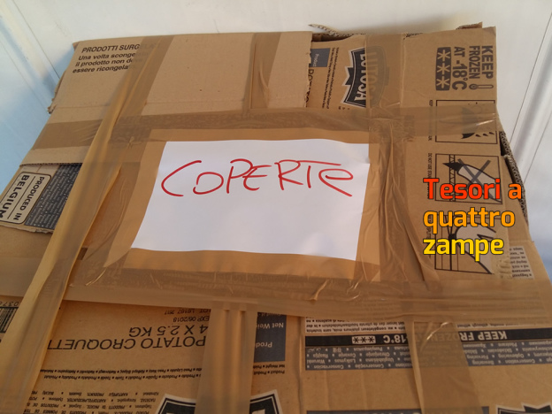 Terremoto_poker_5