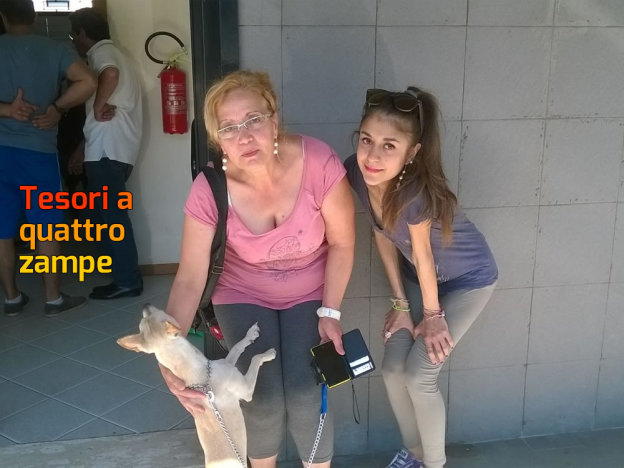 cane_bianca_tornata_a_casa_priscilla_martellucci