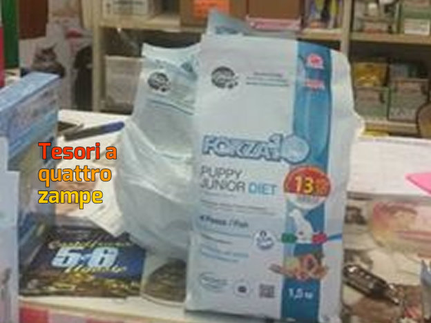 donazione_crocchette_al_sanitario_paola_corradini_adf
