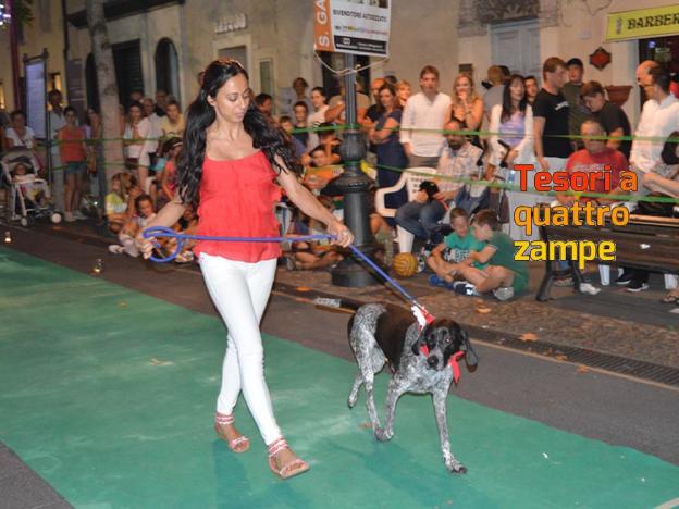 giornata_da_cani_2016_12