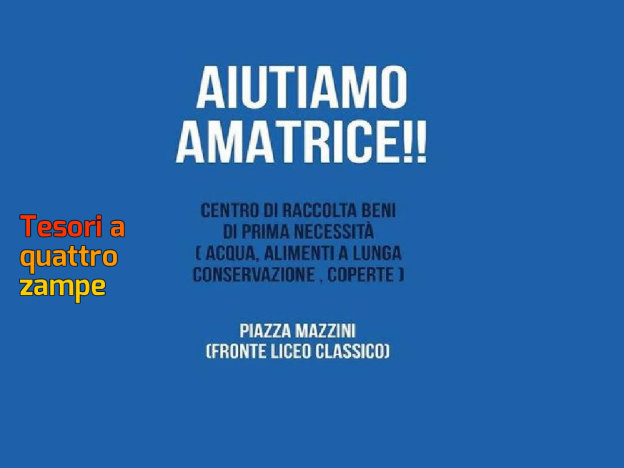 terremoto_aiutiamo_amatrice_2016-690×420