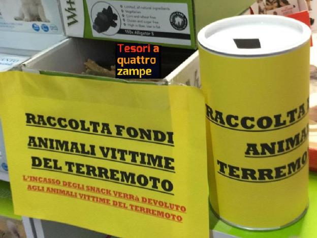 terremoto_raccolta_fondi_palenga_rieti