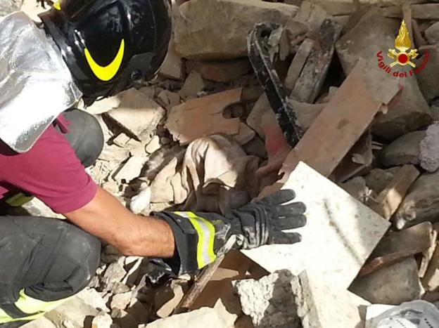 terremoto_amatrice_gatto_gattino_salvato_15_giorni_dopo_sisma