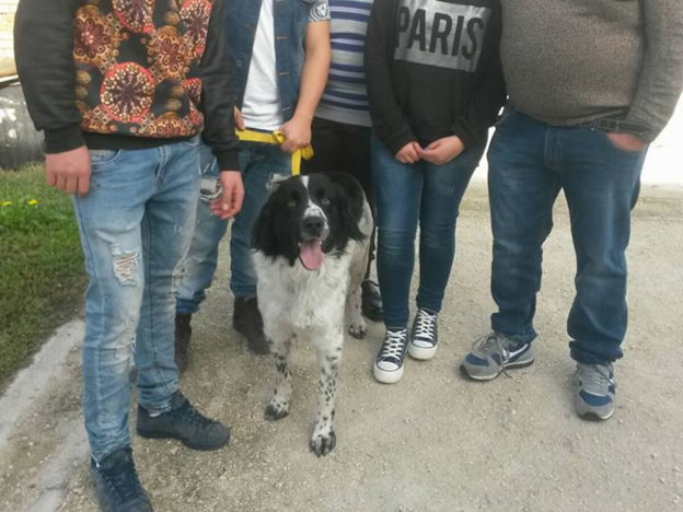 cane_roger_sanitario_adottato_adf