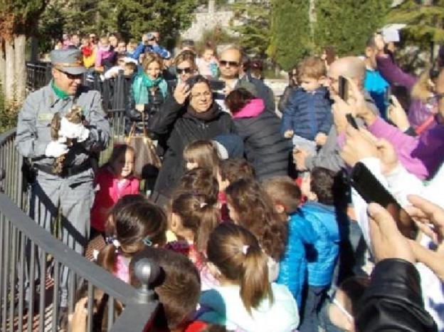 falco_forestale_bambini_scuola_maraini