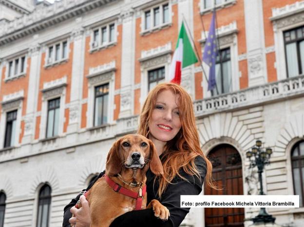 michela_vittoria_brambilla_legge