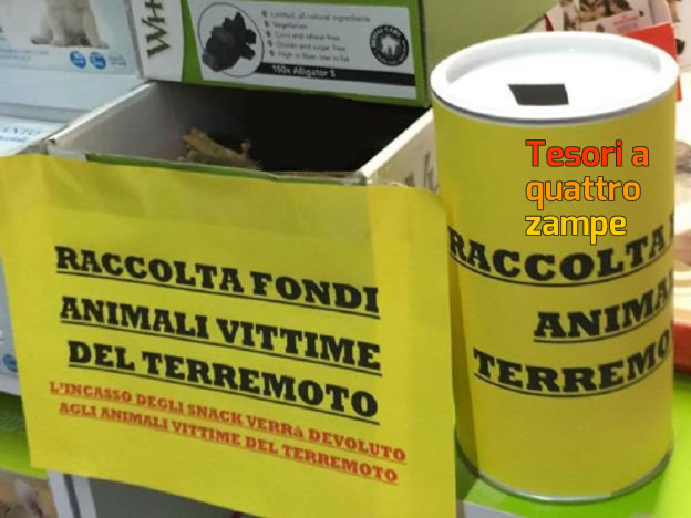 terremoto_raccolta_fondi_palenga_rieti-624×468
