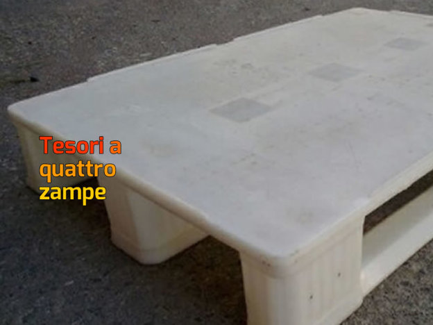 cane_bancale_2
