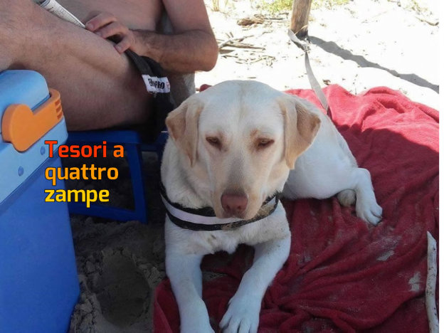 cane_tequila_rieti_raffy