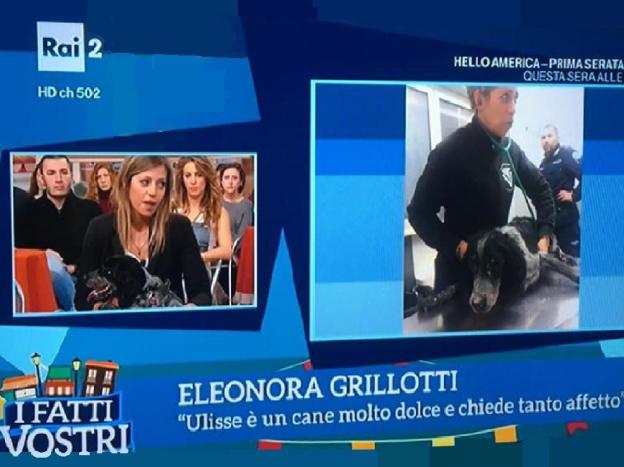 elenora_grillottti_2