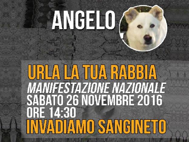 manifestazione_per_angelo