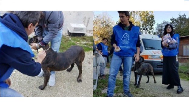 terremoto_lega_nazionale_difesa_del_cane_2