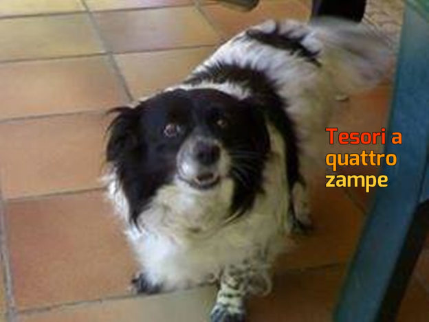 Nilo_di_Gesuina_Lai_Rieti