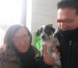 cane_cucciolo_bianconero_adottato