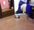 ciotola_cani_libreria_mondadori_rieti_virginia_tomaselli