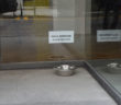 ciotola_acqua_2