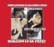 gatto_gattino_amatrice_alice_bagicalupo
