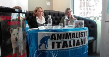“Animalisti Italiani Onlus” presenta il suo impegno per Amatrice – VIDEO